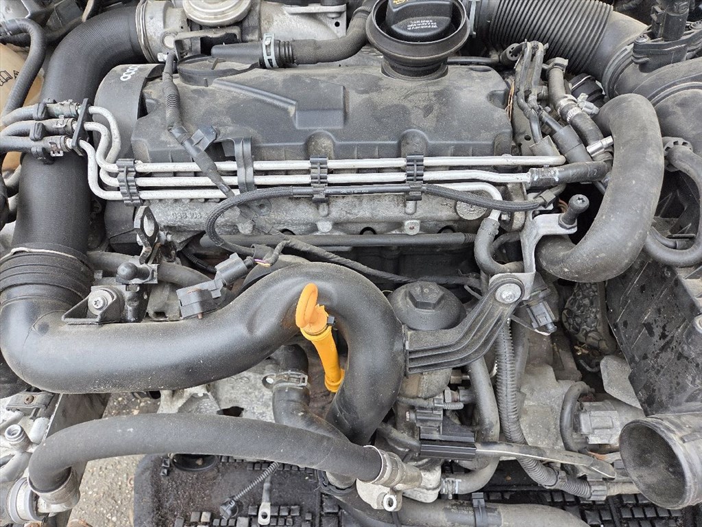 Volkswagen CrossGolf V 1.9 TDI diesel motor  bxf66kw 5. kép