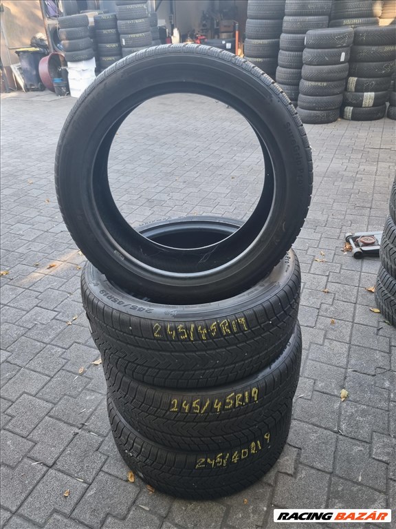  245/4519" újszerű Gripmax téli gumi 4db  2. kép