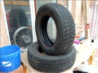 Nexen kisteher téli gumi 2 db 225/65/R16C
