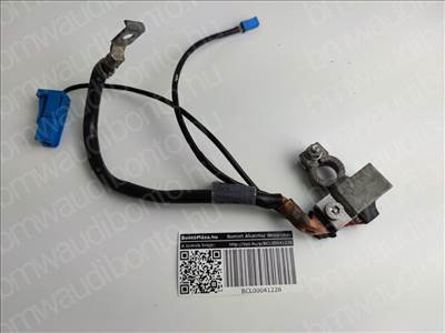 BMW 3 (E90) Negatív kábel (6970685, 61126970685, 61129115498, 61129134854, 61129164352, 61129184207, 61129215952, 61126948336)