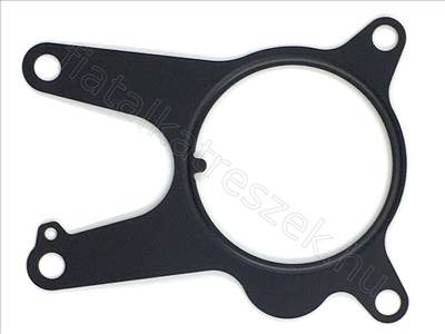 Vákumpumpa tömítés       - 159, DELTA, GIULIETTA, BRERA, SPIDER, 4C - 73504262 -  - FIAT eredeti Eredeti új 73504262