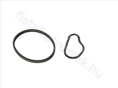 Vákumszivattyú tömítés Tömítés CITROEN BERLINGO 08> 1.6 HDI/BLUEHDI - TT, TRANSIT, DS4, DS3, DS5, STEED, - FT48943, 4556.24 -  - Fastoriginal Utángyártott új 4556.24