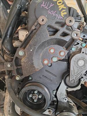 Volkswagen Golf V, Passat B6, Sharan I, Touran I, Skoda Octavia II,Superb I, Seat Alhambra  motor