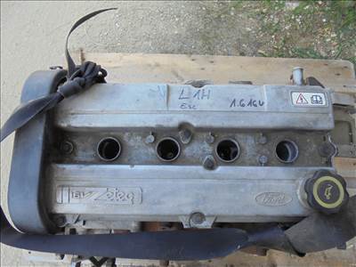 Ford Escort Mk5 1.6i CL, CLX, Ghia komplett motor 