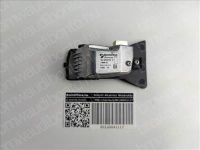 BMW X5 (E70) Táblafelismerő kamera (9190726, 66519190726)