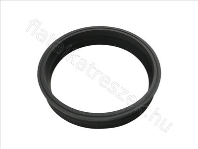 Üzemanyag szivattyú Tömítés FIAT DUCATO 02> - TT, MAREA, CORDOBA, GOLF, SHARAN, DELTA - FT48501, 8E0919133E -  - Fastoriginal Utángyártott új 8E0919133E