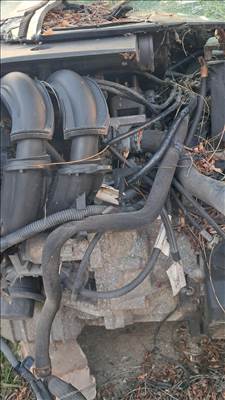 Ford Fiesta Mk5 hengerfej 