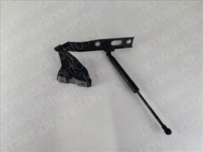 AUDI Q5 (8RB) Bal motorháztető zsanér (8R0823301A)