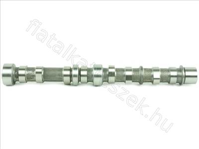 Vezérműtengely FIAT DOBLO 09> Kipufogó 1.3 MJTD - SWIFT, SPLASH, MUSA, GRANDE, IDEA, KA - FT45003, OR 46823508 -  - Fastoriginal Utángyártott új OR 46823508