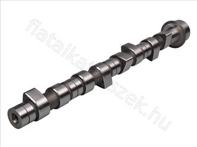 Vezérműtengely FIAT DUCATO 94> 2.5D/TD MOT1197077> - CROMA, THEMA, DAILY, MOVANO, DUCATO - FT45023, 0801.V8 -  - Fastoriginal Utángyártott új 0801.V8