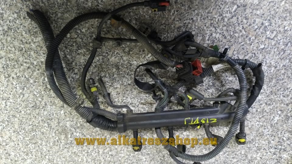 Opel Corsa C, Corsa D, Meriva A, Combo C, Combo D Z13DTJ 1.3 CDTI motor kábelköteg 555664230  1. kép