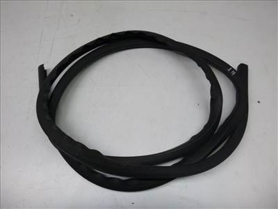 Ford Fusion jobb hátsó ajtó kédergumi