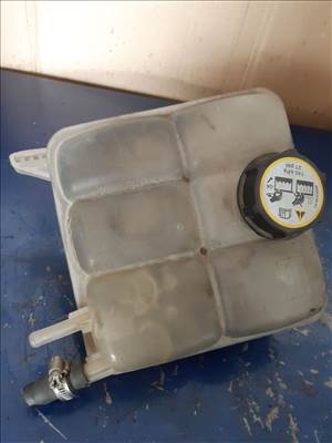 Ford Focus II Kiegyenlítő Tartály 3M5H-8K218-AJ