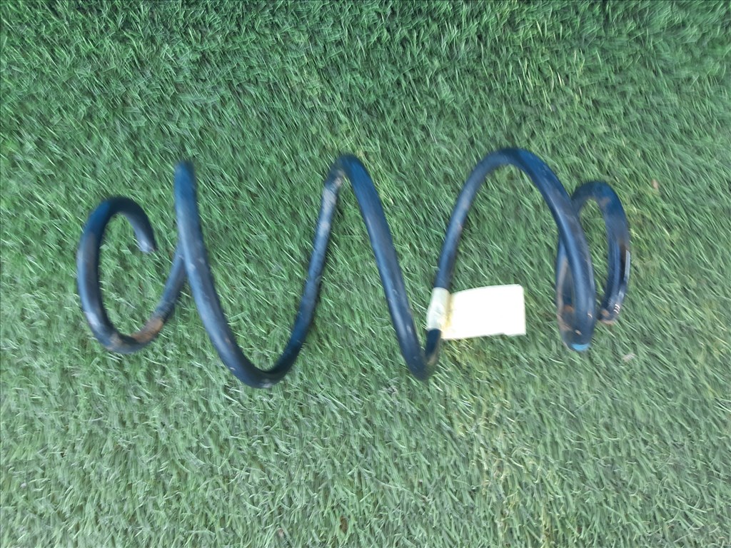 Dacia Lodgy SD (2019) futómű rugó  540108194r 993462 4. kép