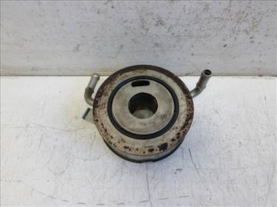 Mini cooper (R50/R53) motorolajhûtő