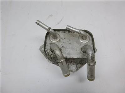 Audi Allroad (C5) üzemanyaghûtő (gázolajhûtő) 059203493A