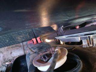 FORD FOCUS (DAW, DBW) Jobb hátsó Biztonsági Öv Csat