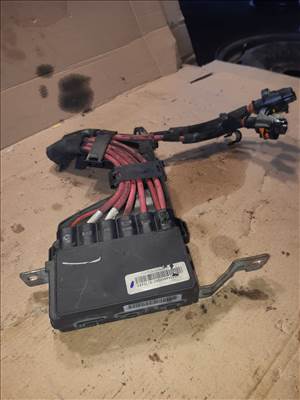 Renault Scenic III Biztosítéktábla / Relé Tábla