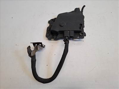 Citroen DS3  akkumulátor biztosíték 9675123880