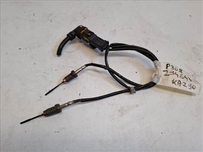 Peugeot 308 (P5) kipufogó hőmérsékletérzékelő 9812376480