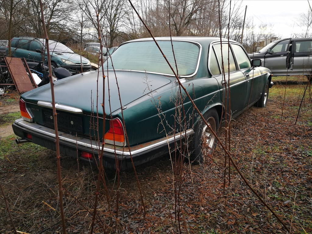 Eladó Jaguar 3. kép