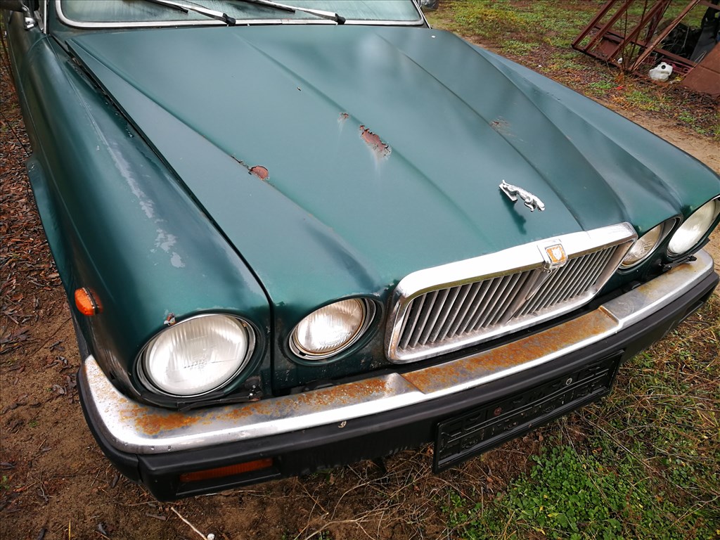 Eladó Jaguar 5. kép