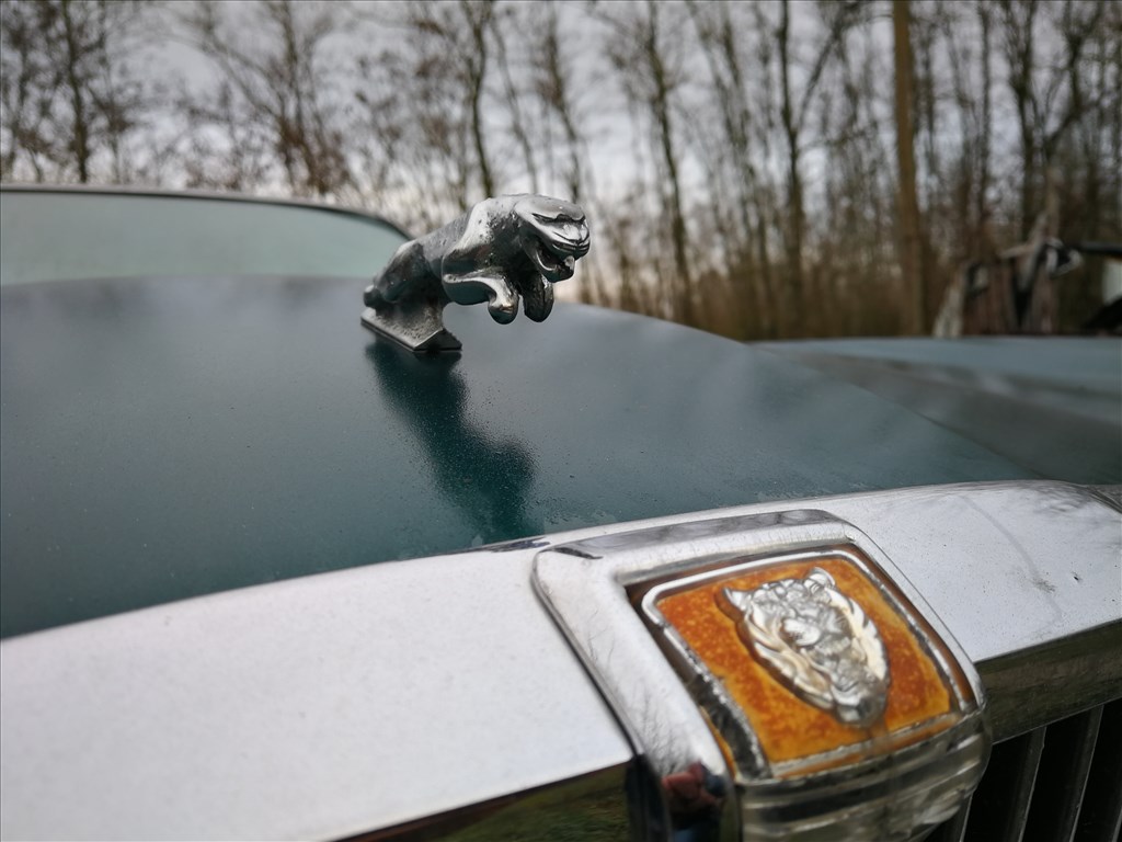 Eladó Jaguar 6. kép