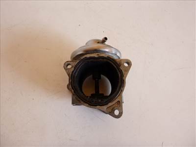 Seat Altea  EGR szelep 038131501AN