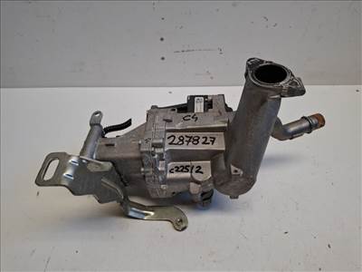 Citroen C4  EGR szelep 9671187780