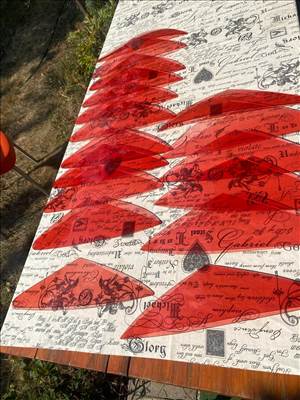 Peugeot 307 cc hátsó lámpabura  543476 433564