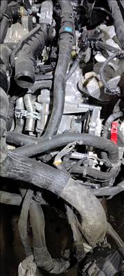 Ford Focus mk4 1.0 ecoboost hybrid automata váltó 