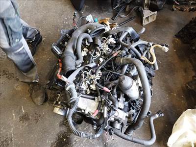 M57D25 kódú BMW E60 525D 256D2  motor