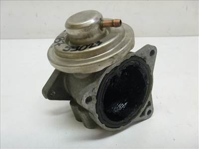 Volkswagen Passat VII (3C) EGR szelep 038131501AN