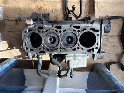 Opel Zafira B 2005-2014 2005-2014 Motor   Z19DTH