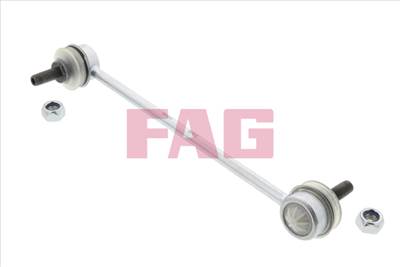 FAG 818 0119 10 - Stabilizátor pálca CHEVROLET FORD