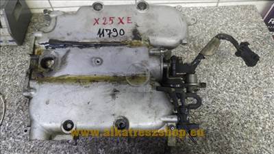 Opel Szívósor X25XE                          