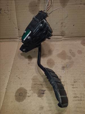 Renault Master 03-10 Elektromos Gázpedál 7700 314 525