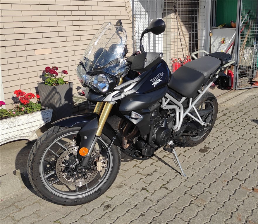 Triump Tiger 800 Eladó 3. kép