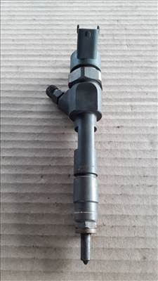 Renault Megane II Porlasztó 8200 100 272