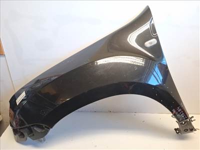 Dacia duster (HS) bal első sárvédő