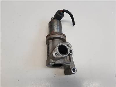 Kia Ceed (JD) EGR szelep 284102A300