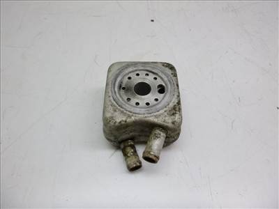 Volkswagen Passat VII (3C) motorolajhûtő 038117021L