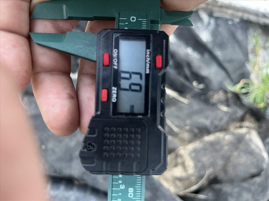  4x108 lyukosztású 15" lemezfelni, rajta 185/60 Riken négyévszakos gumi 7. kép