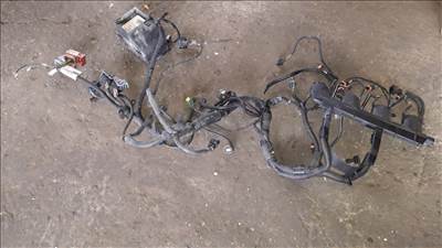 Renault Espace IV Motor Kábelköteg 8200453770