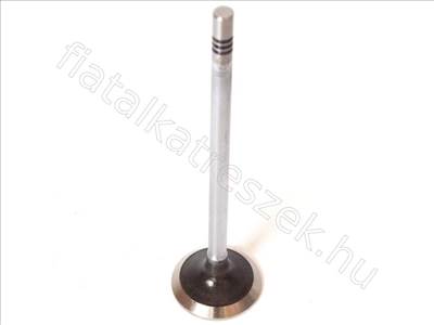 motor VALVE FIAT DUCATO 02> Kipufogó 2.3 JTD IVECO - DAILY, DUCATO, PATRIOT - FT50068, 500362856 -  - Fastoriginal Utángyártott új 500362856