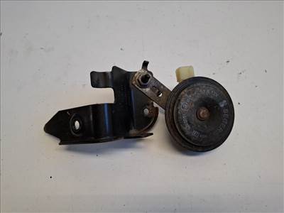 Renault Clio  kürt 256108351R