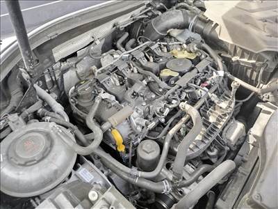 Volkswagen Tiguan III, Volkswagen Passat B8 motor 