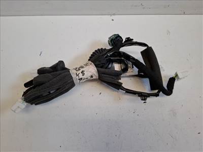 Nissan Leaf (ZE1) bal hátsó ajtóköteg 241275SH0A