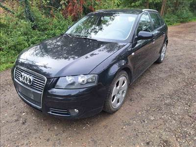 Audi A3 (8P) 2.0 PD BMM JLU LZ9Y bontott alkatrészei