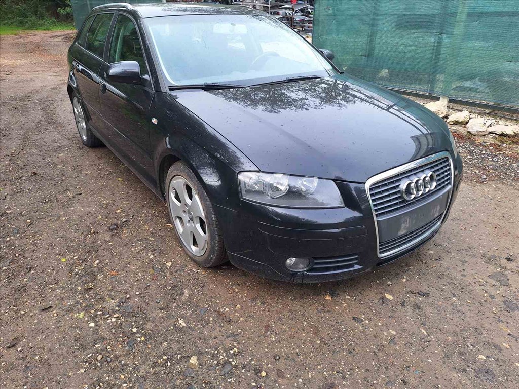 Audi A3 (8P) 2.0 PD BMM JLU LZ9Y bontott alkatrészei 2. kép